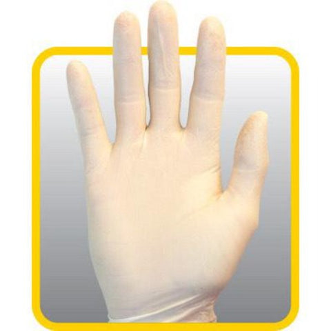 Disposable Latex Gloves, Powder Free 100 Gloves/Box